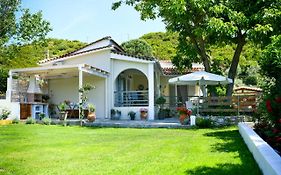 Vague Summer House